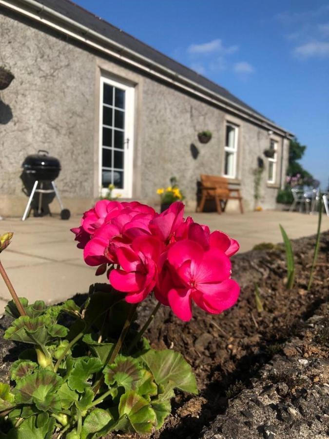 Ballyconnelly Cottages, Galgorm Area Cullybackey 外观 照片